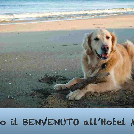 Metron Cesenatico